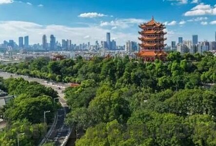 app大象传媒-探索App大象传媒，数字时代的文化传播新阵地