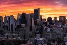 大象传媒赵艺-大象传媒的赵艺，创新与传承的桥梁